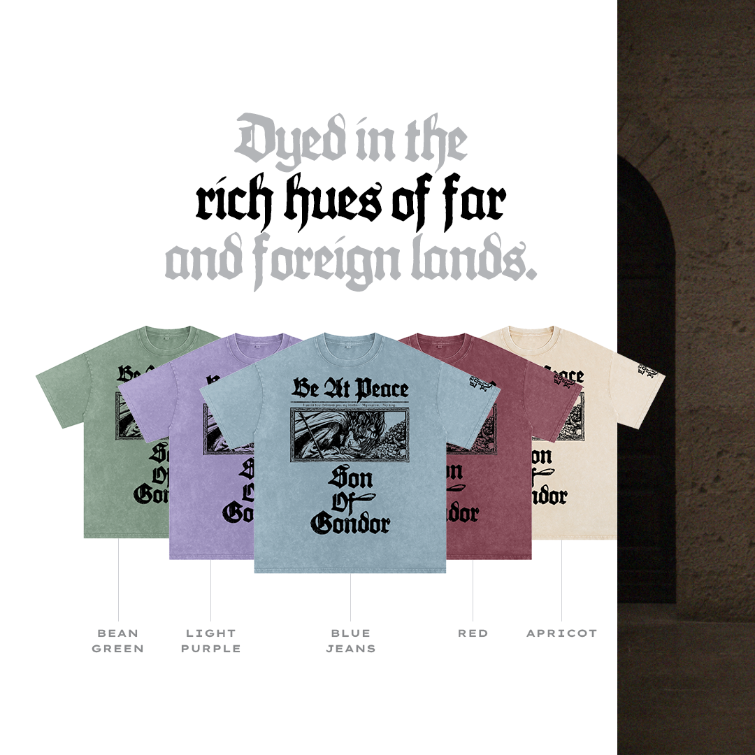 "Death of Boromir" Snow Washed Oversized T-Shirt